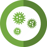 Home Mold Inspection Service Pros