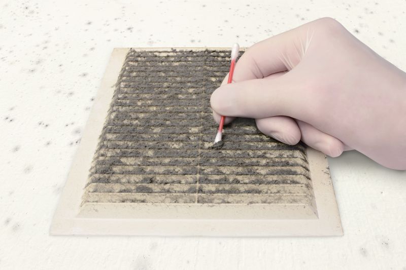 Air Duct Mold Removal in Broward County, FL