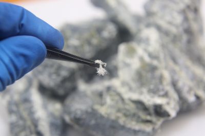 Asbestos Service in Somerset County, NJ