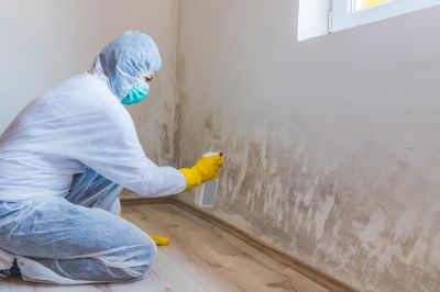 Attic Mold Remediation in Fort Worth, TX