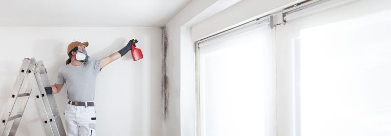 Attic Mold Remediation in Fort Worth, TX