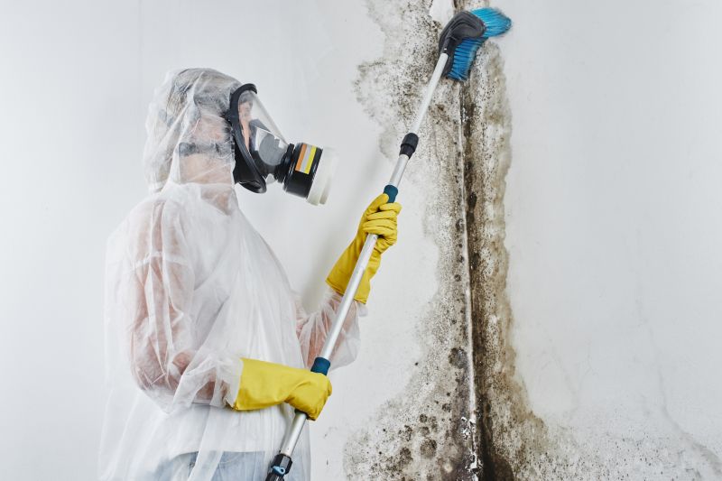 Basement Mold Removal in Fort Worth, TX