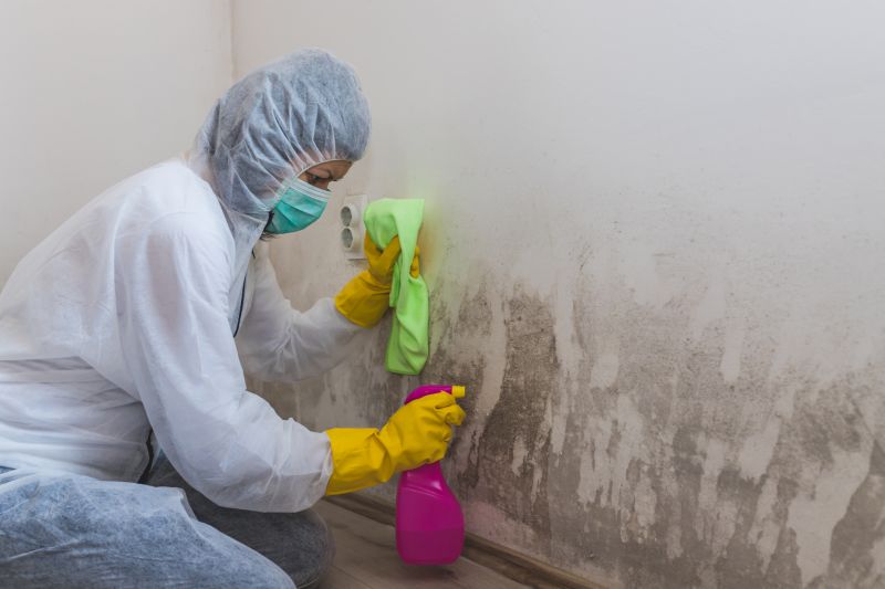 Basement Mold Removal in Fort Worth, TX