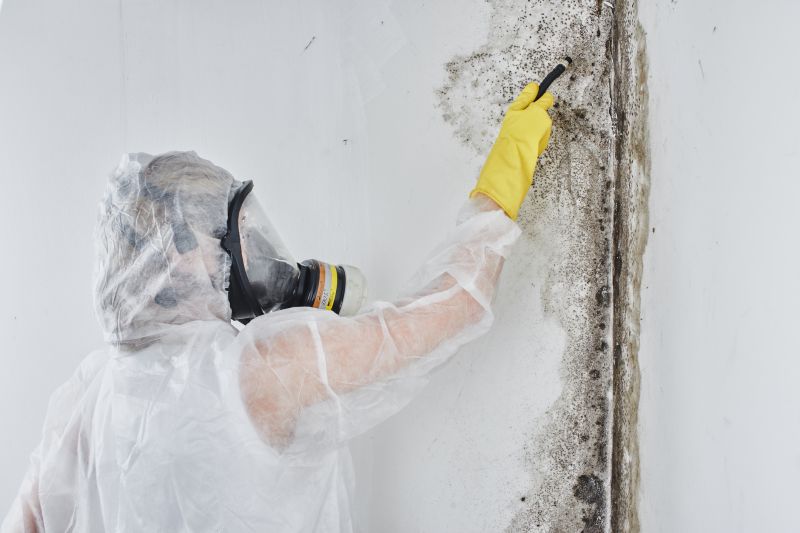 Black Mold Removal in Plano, TX