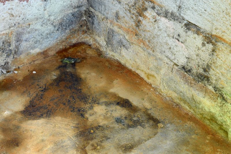Crawlspace Mold Remediation in Bergen County, NJ