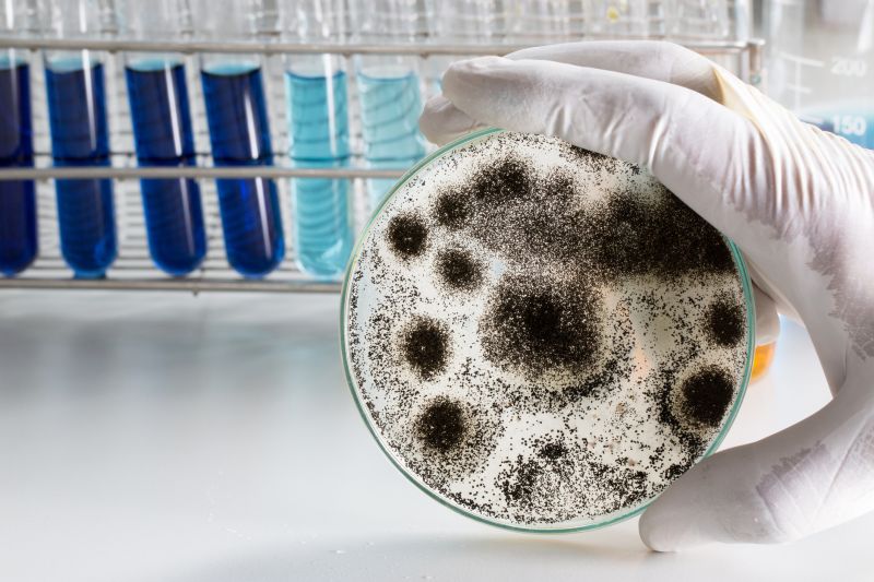 Ermi Testing in Bergen County, NJ