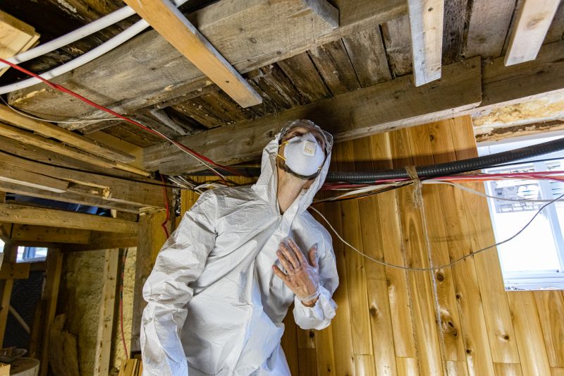 Home Mold Inspection Service detail