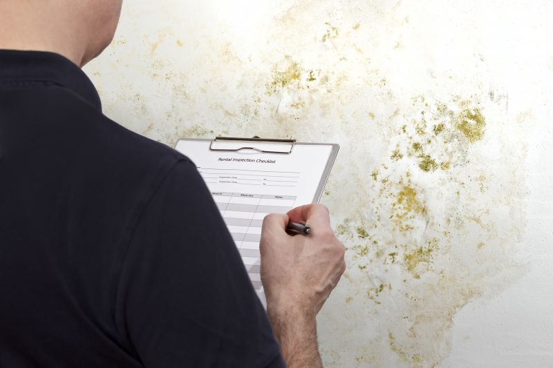 Home Mold Inspection Service detail