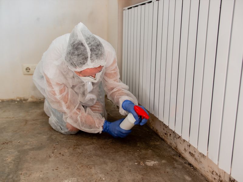 Garage Mold Remediation in Dallas, TX