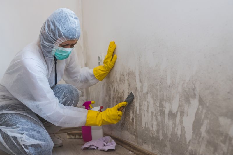 Garage Mold Remediation in Dallas, TX