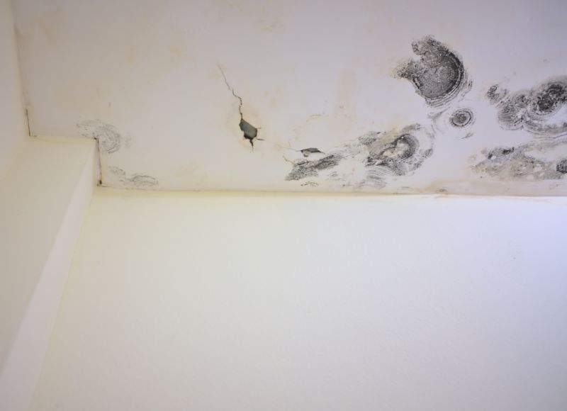 Garage Mold Remediation in Dallas, TX