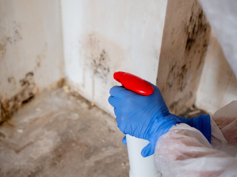 Garage Mold Remediation in Dallas, TX