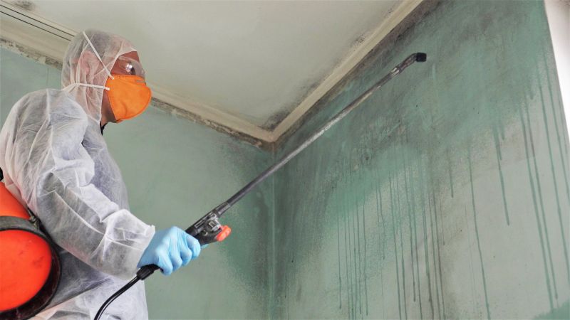 Mold Abatement Service in Jupiter, FL