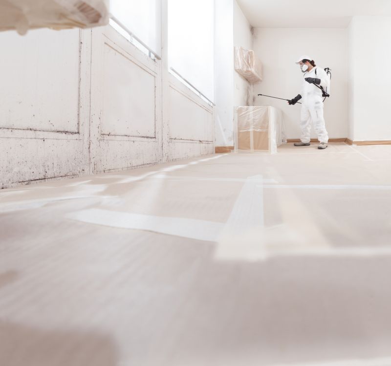 Mold Abatement Service in West Palm Beach, FL