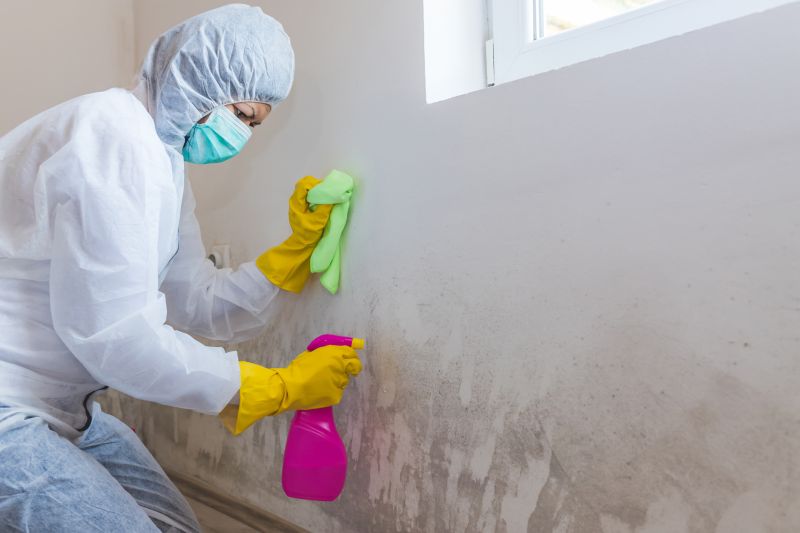 Mold Cleanup Service in Bergen County, NJ