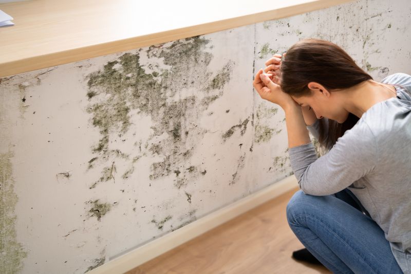 Mold Control in Plano, TX