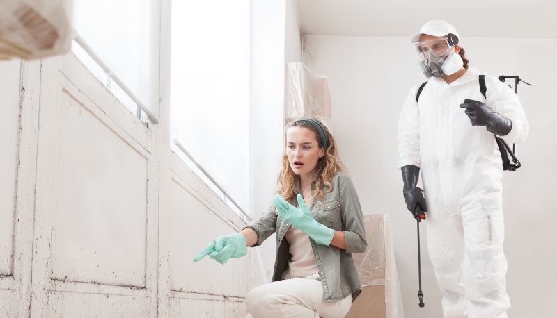 Mold Mitigation Service