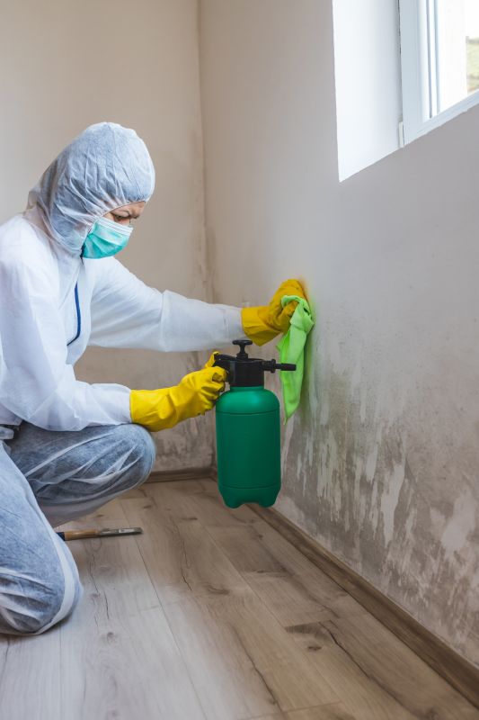 Mold Mitigation Service