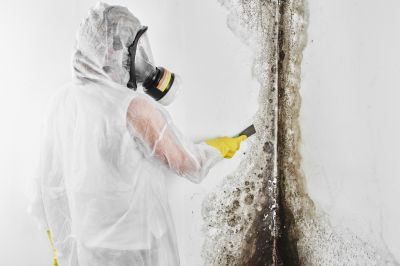 Mold Mitigation Service in Fort Lauderdale, FL