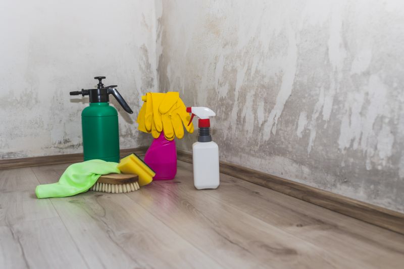 Mold Remediation Service in Jupiter, FL